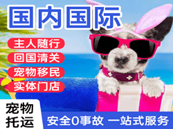 南京禄口航空快递国际宠物托运 【国